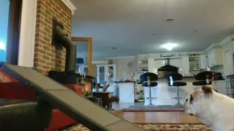 therealkurva4u online show from 09.25.25