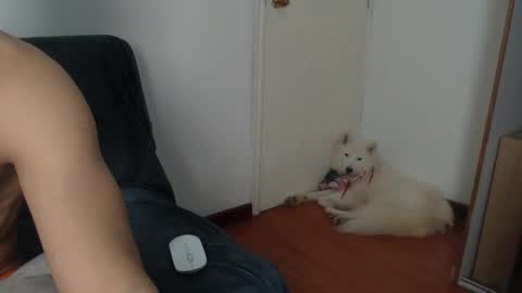 thesaint_xxx online show from 11.08.25