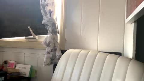 Snapshot of thesashadomme chatting on 10.06.25 The Sasha Domme online show from 10.06.25