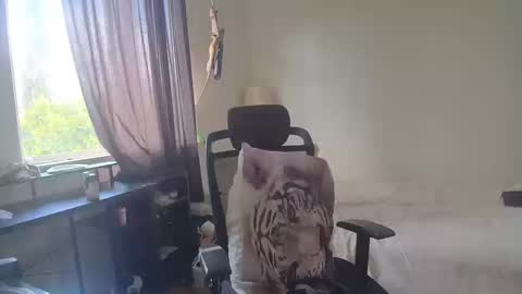 Snapshot of theufcfan_8181 chatting on 10.13.25 troy online show from 10.13.25