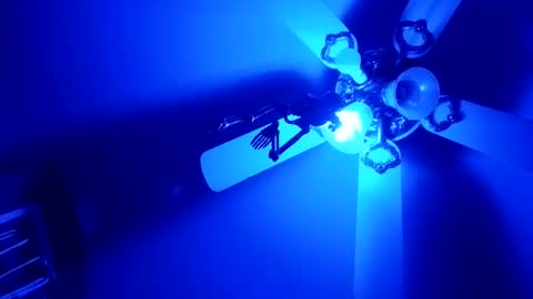 Thickamber online show from 02.05.26