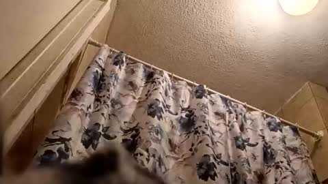 Thickamber online show from 03.20.26