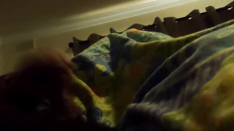 thisbloke96 online show from 02.10.26