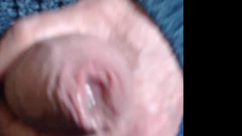 threephase323 online show from 04.18.26