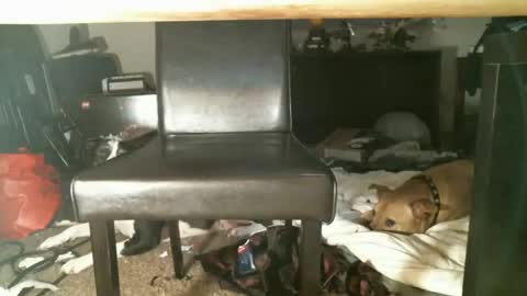 Thumper online show from 10.27.25