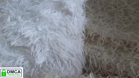 Snapshot of tia_j chatting on 01.16.25 tia_j online show from 01.16.25