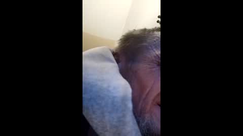 tibed1968836757 online show from 02.15.26