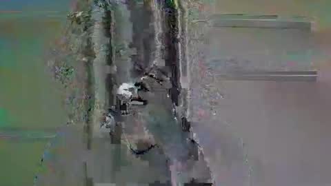 tifa_lockheart online show from 04.11.26