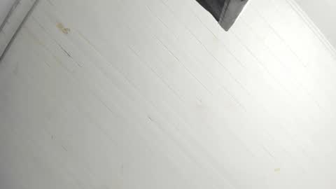 Tiffany online show from 12.22.25