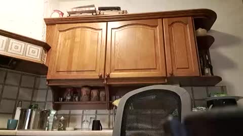 Snapshot of tigermatt76e chatting on 03.01.26 tigermatt76e online show from 03.01.26