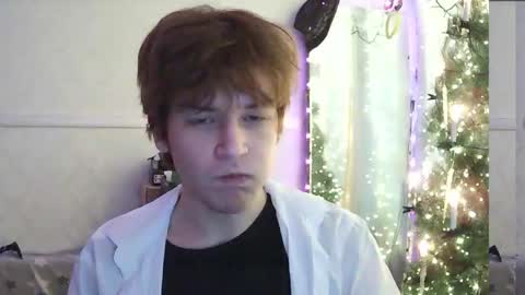 Wille online show from 02.02.26