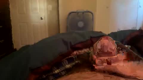 Tim Haley online show from 04.25.26