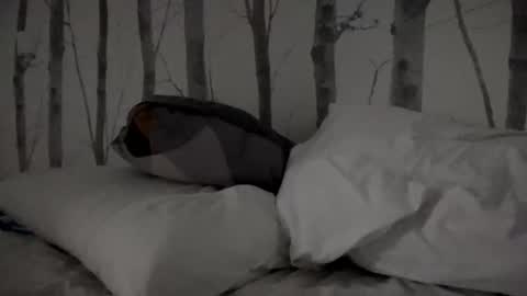 Tim online show from 03.11.25