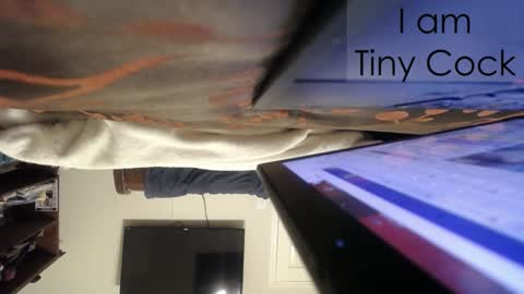 tinycock_1979 online show from 02.21.25