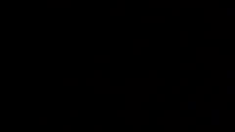 zeetiniee online show from 04.13.26