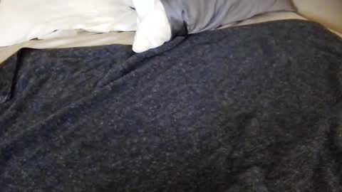 tinywithtiddies online show from 04.25.26