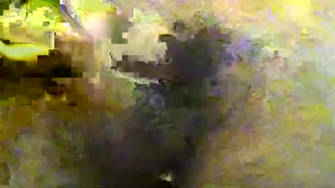 Tirius Barkhan online show from 11.30.25