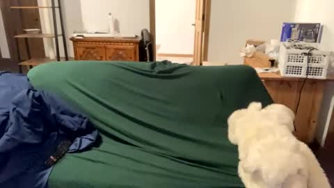 tjfemboi5641 online show from 10.20.25