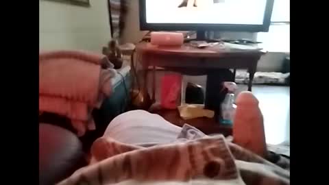 Snapshot of tjllagwbggrr chatting on 01.05.26 tjllagwbggrr online show from 01.05.26