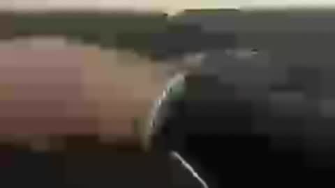 tkd8895 online show from 07.29.26