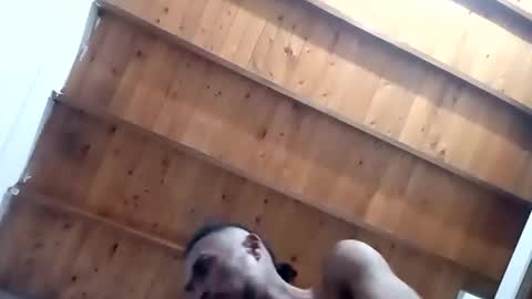 Snapshot of tnptlhvgyqcy chatting on 11.01.25 DESTROY.S online show from 11.01.25