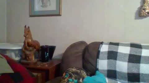 Snapshot of tnvols1968 chatting on 10.29.25 Vols online show from 10.29.25