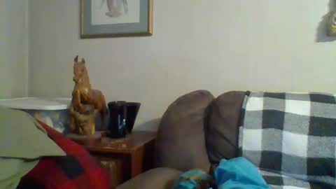 Vols online show from 11.07.25