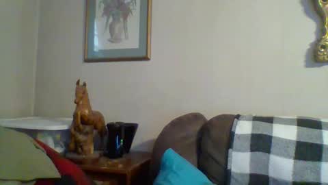 Vols online show from 11.12.25