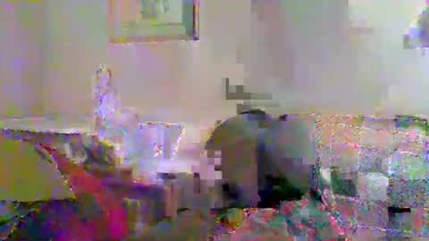 Vols online show from 11.23.25