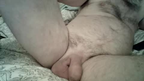 toddbells online show from 02.13.26