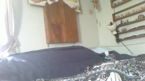 toddhaven4u online show from 02.08.26