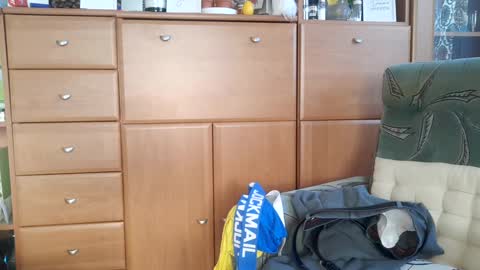 Tommy online show from 01.19.25