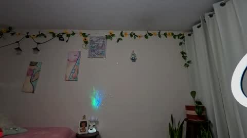 leyla  online show from 02.24.26