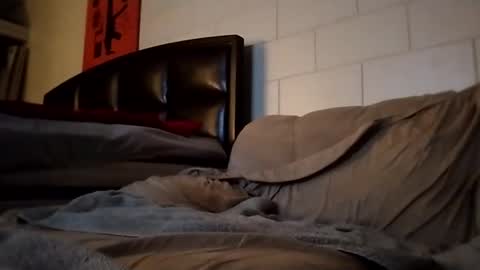 tomthebomb347 online show from 09.14.25