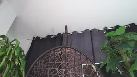 tony online show from 02.12.26