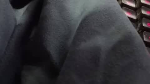 tonysafari online show from 02.27.25