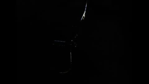 tooobvious online show from 12.30.24