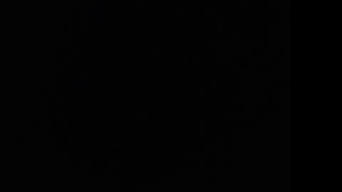 tooobvious online show from 01.10.25