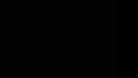 tooobvious online show from 01.10.25