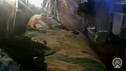 tootall1991420 online show from 10.26.25