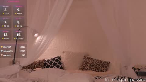 Im MeganLovense on Ill be online  1700 UTC online show from 12.18.24
