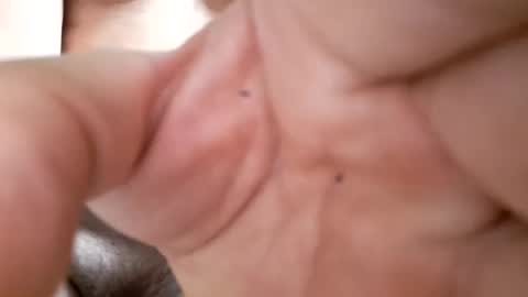 topdoggwhoisyour online show from 02.08.25