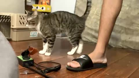 TopTierDrippa online show from 03.03.26