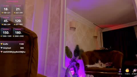 torri kitten online show from 12.29.24