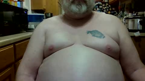 torture meplease online show from 01.07.25