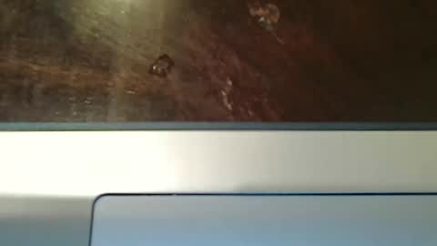 totxxx335 online show from 12.15.25