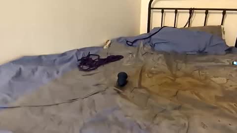 toxic2lust online show from 03.04.26