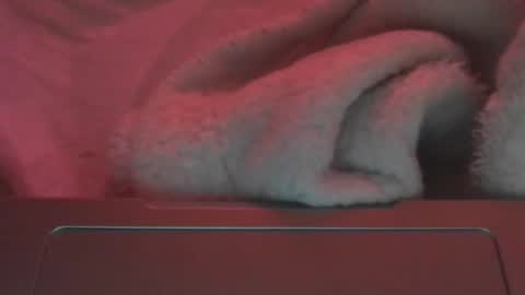 toxicanikki online show from 02.23.26