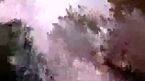 tr0069 online show from 04.05.26