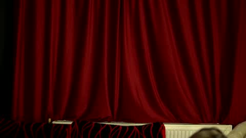 Tracy online show from 03.12.26